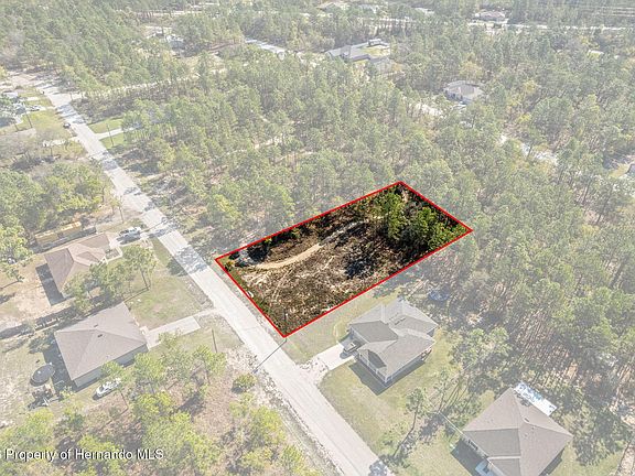 4th image of 12348 Snowy Egret Ave
