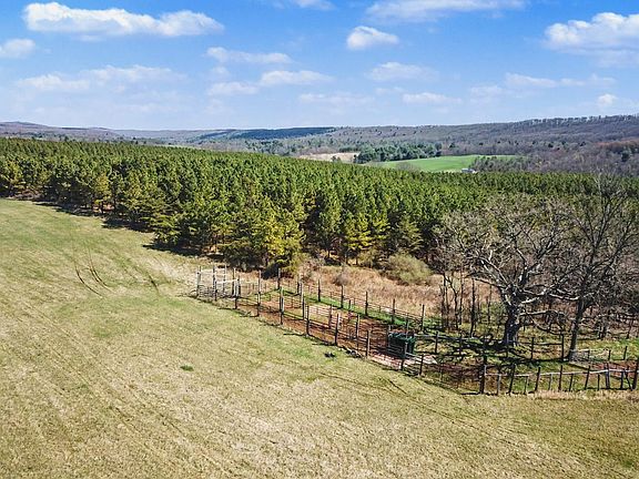 3rd image of 170 Longhorn Rd