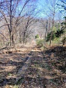 1014 Indian Springs Rd, Pegram, TN, 37143