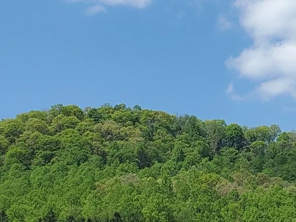 Off 219 Above Spruce St, Parsons, WV 26287
