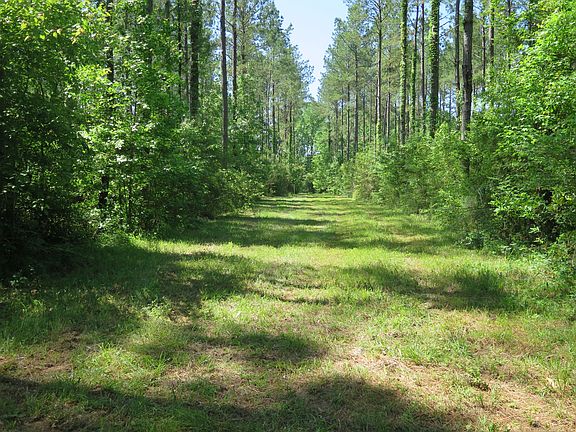 4th image of 10332 County Road 250 Lot Wp001