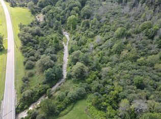 Ville McHenry Valley Rd Lot 2, Almond, NY 14804
