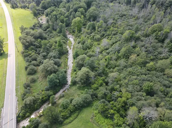 Ville McHenry Valley Rd Lot 2, Almond, NY 14804