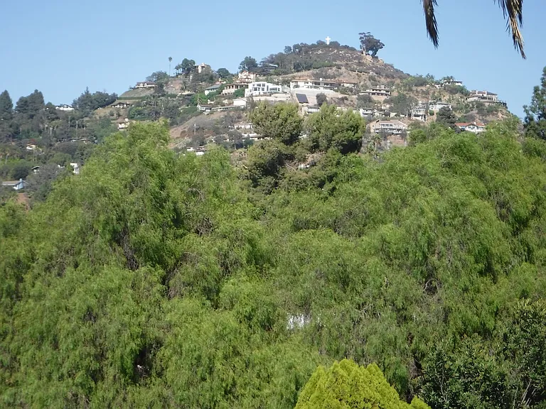9120 San Juan Pl — Photo 26