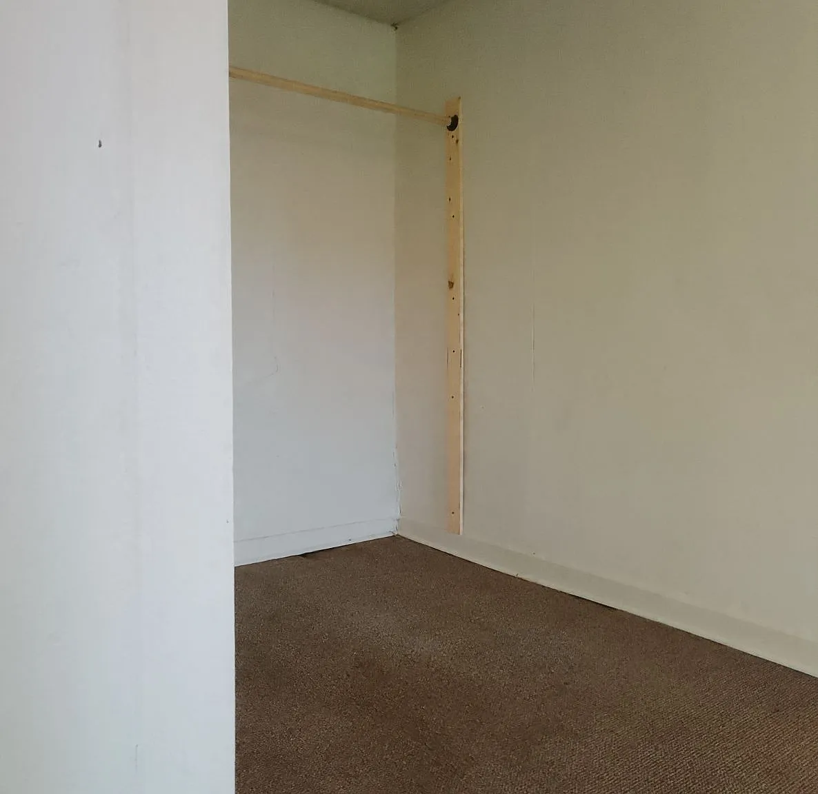 1 bed, 400 sqft, $600 — Photo 3