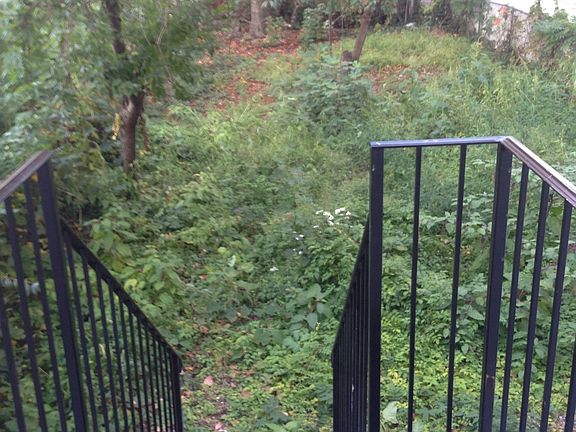 5th image of 938 E 227th St #1