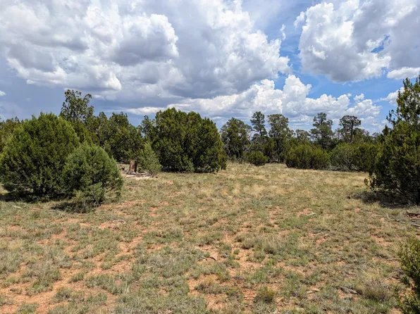 8384 Haven Crest Dr, Happy Jack, AZ 86024