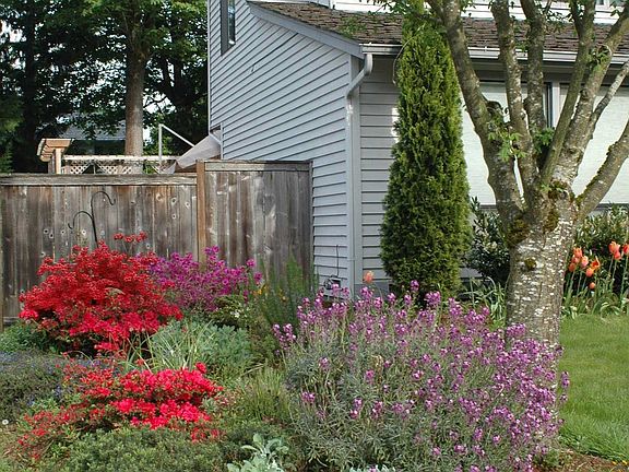front garden