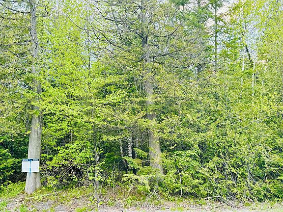 2nd image of 7110 Gallagher Rd