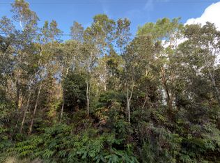 3rd St, Volcano, HI 96785