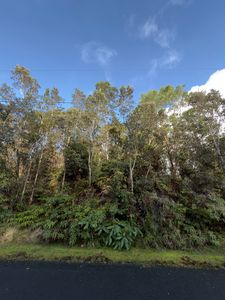 3RD ST, Volcano, HI, 96785