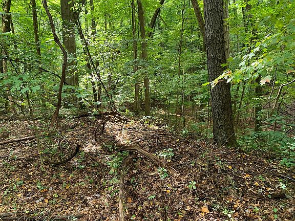 4th image of 0 Woodland Dr