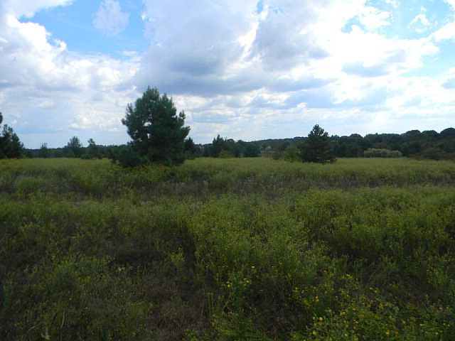 2nd image of 3970 Fm 753
