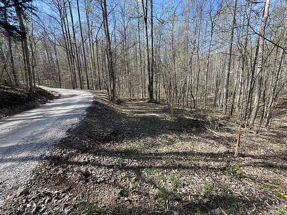 5th image of LOT Mountain Springs Cem Rd