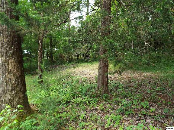 5th image of 24262432 Dairy Rd
