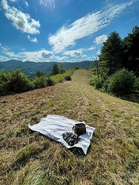 1st image of 105 Roberts Branch Rd