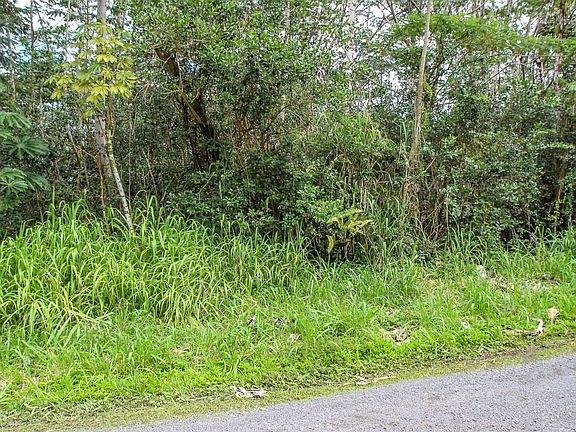 2nd image of 15-2019 17th St Lot 219
