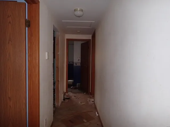 432 Plain Ln, Walshville, IL 62091