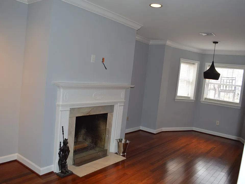 Wood burning fireplace