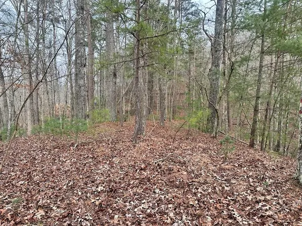 3693 Myna Dr, Ellijay, GA 30540