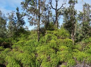 1st Ave LOT 2898, Keaau, HI 96749