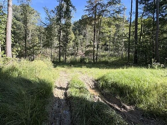 4th image of 1819 State Highway 698