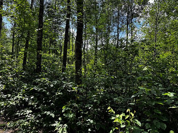 2nd image of Lot 12 Cassandra Road