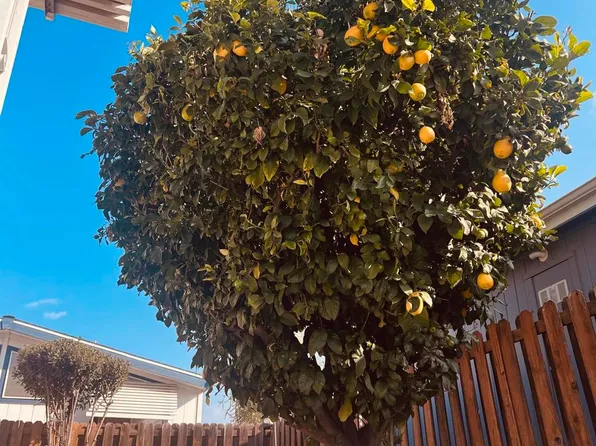 27250 Murrieta Rd Space 364, Menifee, CA 92586