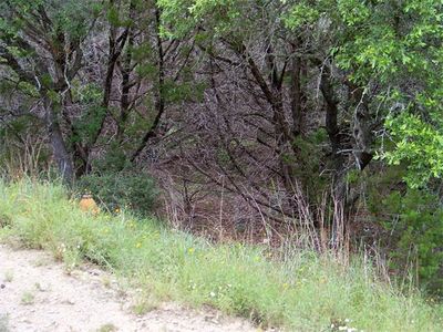 6801 Bar K Ranch Rd, Leander, TX, 78645
