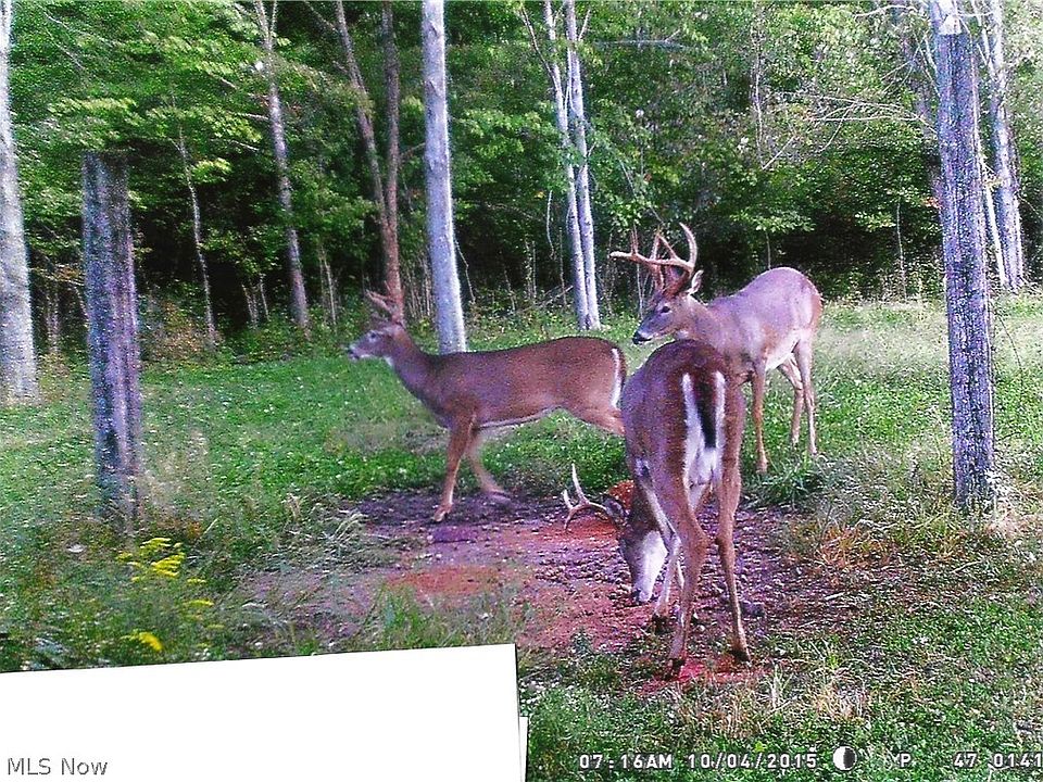 2nd image of N Ridge Rd