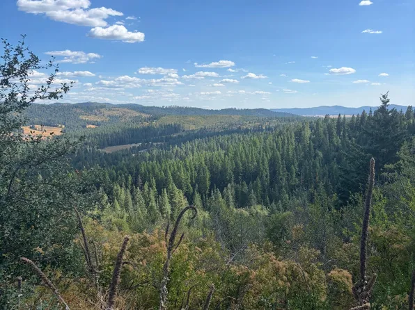 Treetop Ln Parcel 2, Plummer, ID 83851