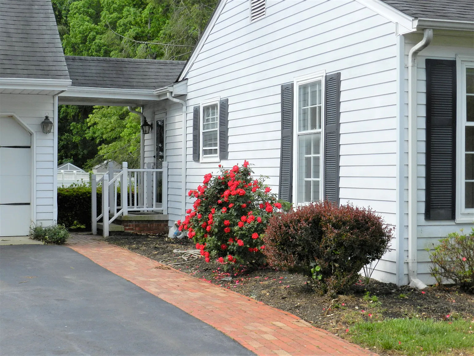 3 bed, 1619 sqft, $2,350 — Photo 4
