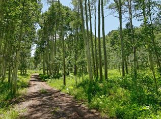 Tbd South Hayden Road, Aspen, CO 81611