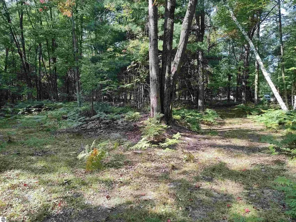 4317 Elbow Lake Rd, Prescott, MI 48756