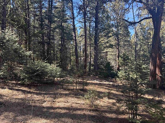 4th image of Lot 1031 Armijo