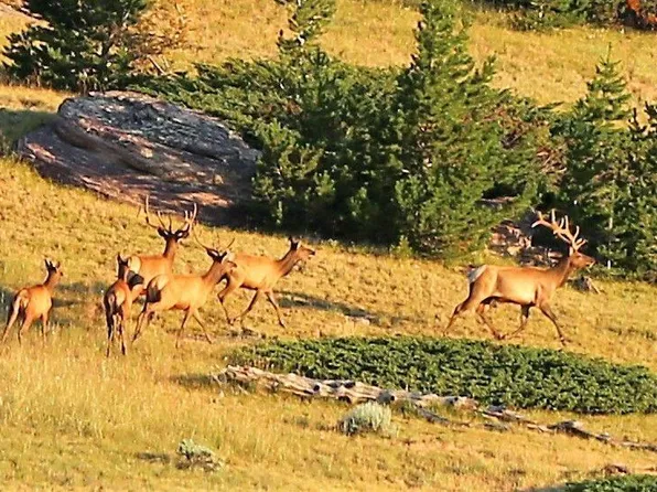 Tbd1 Big Horn Mountain Rd, Ten Sleep, WY 82442