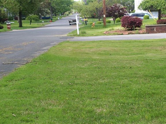5th image of 43 Ona Ln