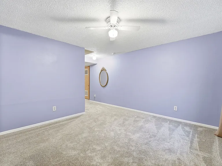Basement living room.