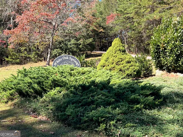 LOT 8 Travis Rdg, Blairsville, GA 30512