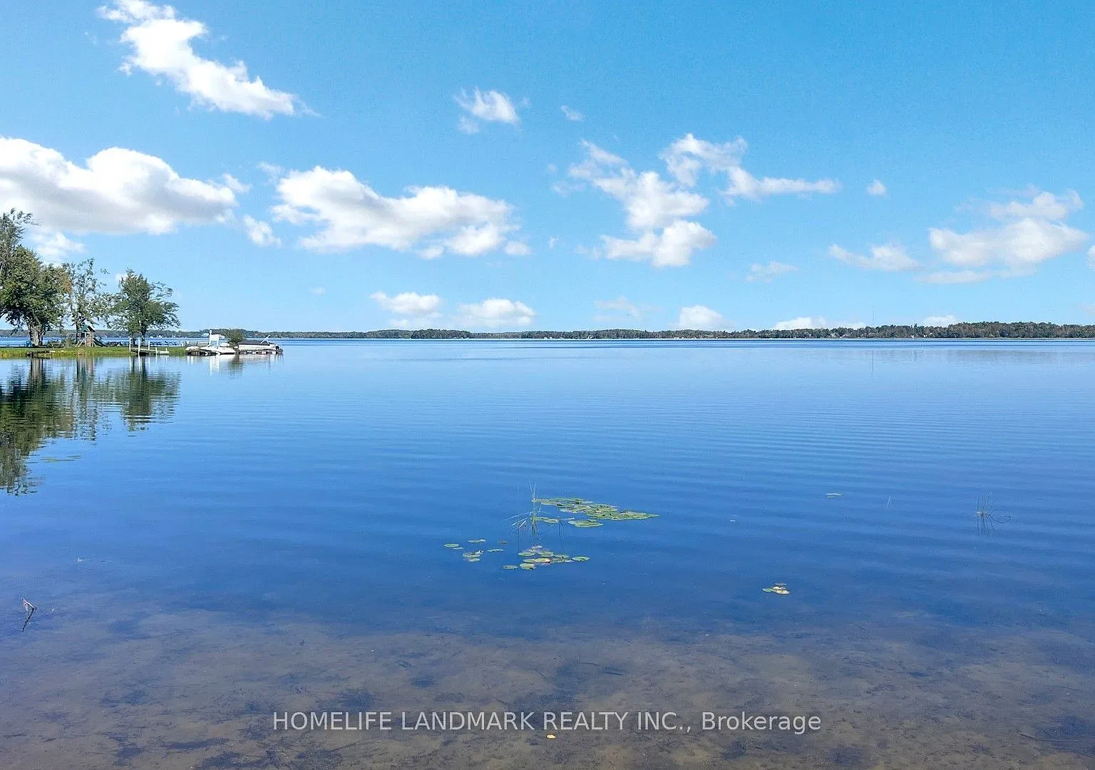 4 bed, $4,500 — Photo 2