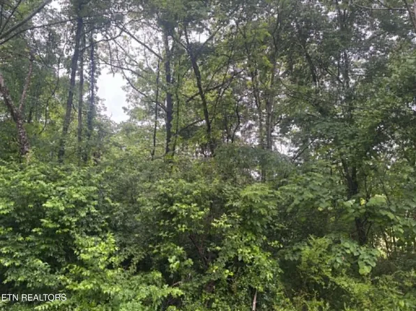 Brogan Ln, Tazewell, TN 37879