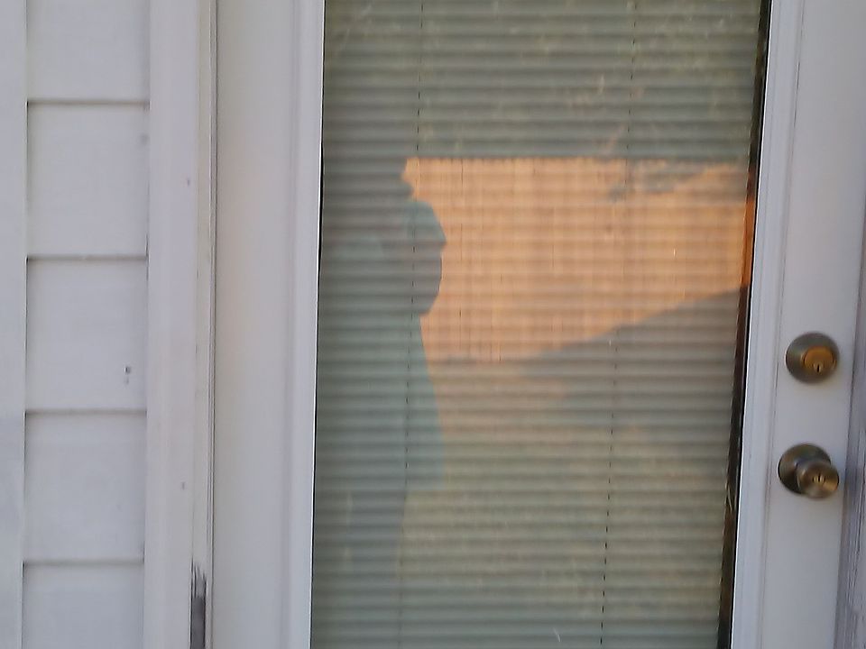 Back Door