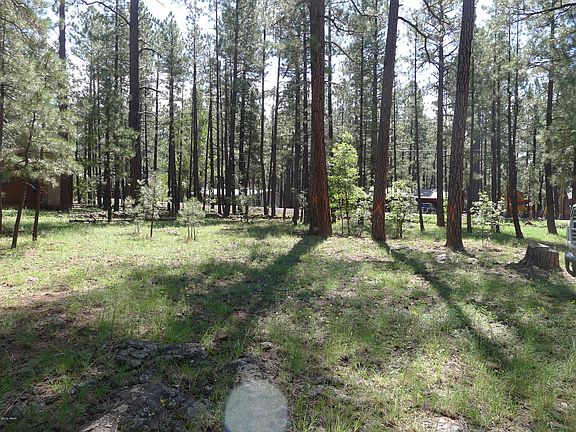 4th image of 2485 Black Beaver Circle