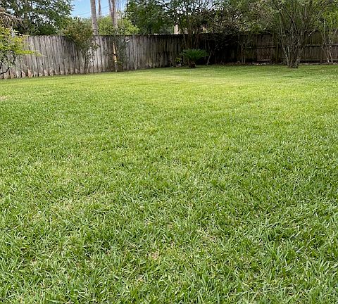 3rd image of 12594 Blue Eagle Way #1