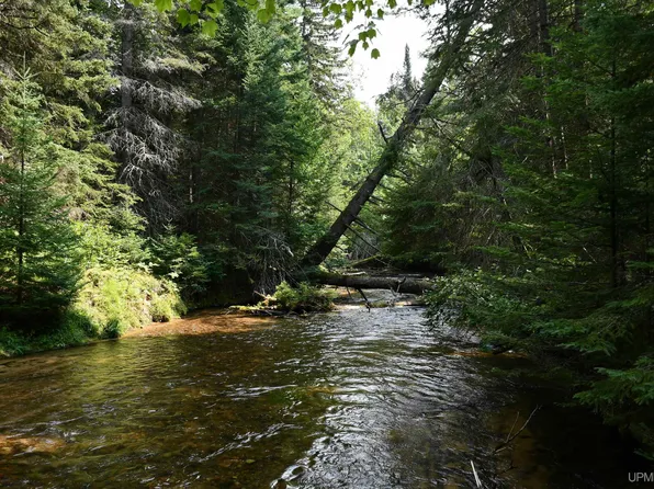 12170 N Danaher Rd, Mc Millan, MI 49853