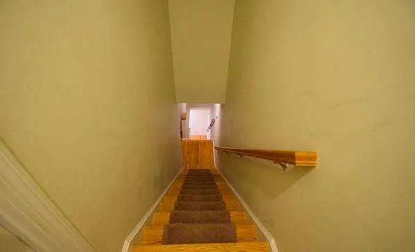 Harleston St — Photo 15