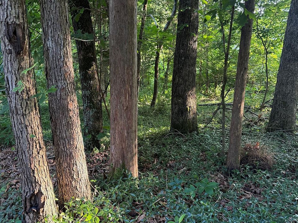 1st image of 8 Catoosa Woods Dr