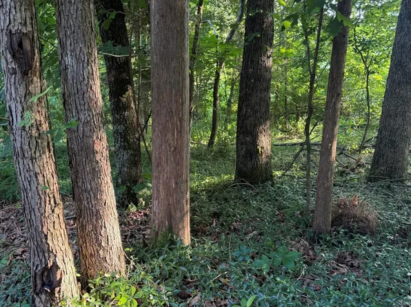 8 Catoosa Woods Dr, Lancing, TN 37770
