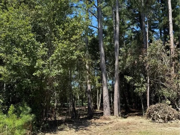 0 Friendship Road, Sylvania, GA 30467