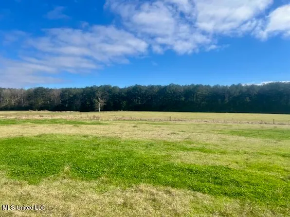 SW Dalton Ln, Smithdale, MS 39664